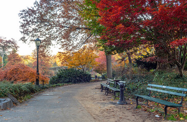 Fototapeta na wymiar Gapstow Bridge in Central Park autumn
