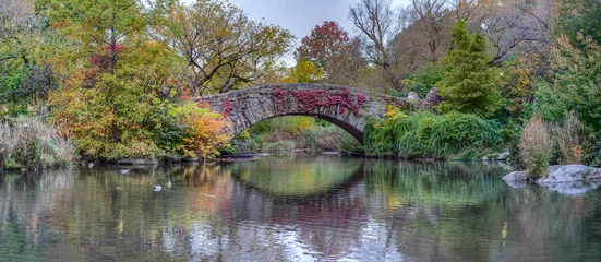 Photo sur Plexiglas Pont de Gapstow Gapstow Bridge in Central Park autumn