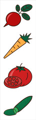 Carrots, radishes, tomatoes and cucumbers.