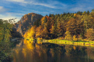 autumn in the forest