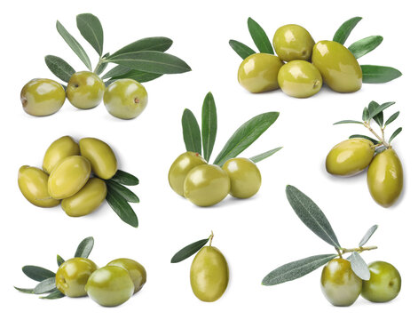 Set with fresh green olives on white background