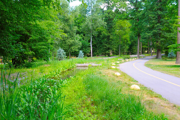 Nature background in an autumn park.