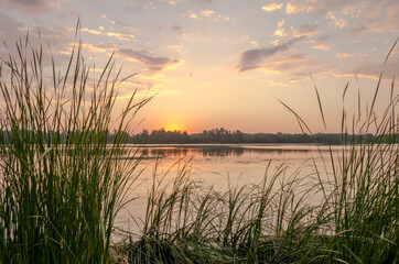 Sunrise in the early summer morning