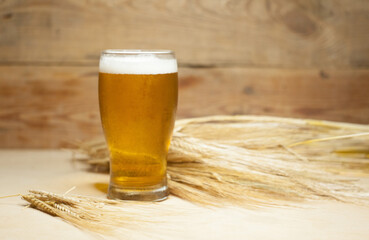 Glass of beer with barley