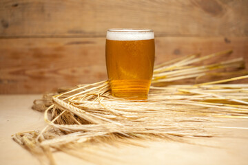 Glass of beer with barley