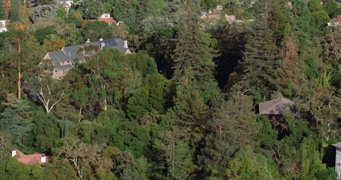 Aerial View Of Houses In Palo Alto, Silicon Valley