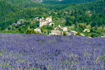 Côte d’Azur in Frankreich, eine Traumreise für den Sommer. Lavendel Felder, Nizza, Antibes,...