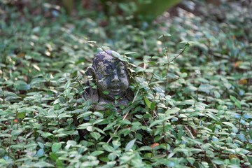 Smiling Buddha in vines 1