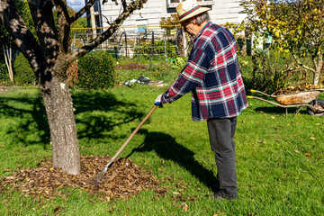 man picking leaves
