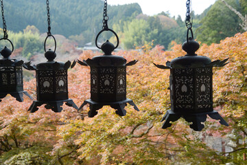 秋の談山神社　拝殿の釣り灯篭と紅葉　奈良県桜井市多武峰