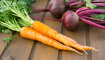 Freshly picked carrots and beets from the garden