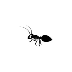 Ant icon.