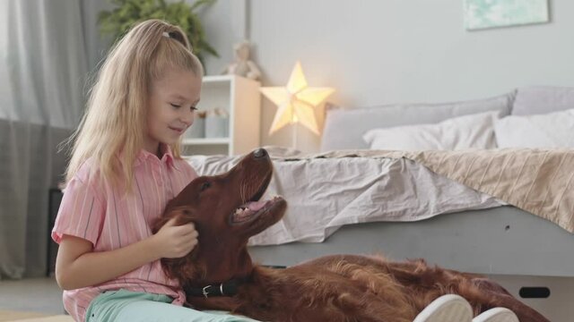 Slowmo shot of Caucasian 8 year old girl playing with cute Irish setter dog lying together on floor in cozy bedroom