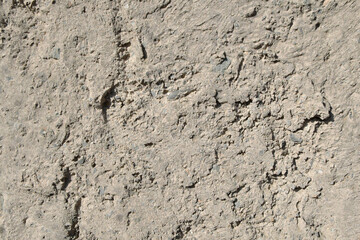 The rough, uneven surface of the cement wall is gray-brown.