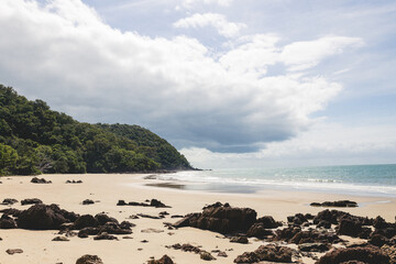 Obraz premium beach and sea, daintree rainforest