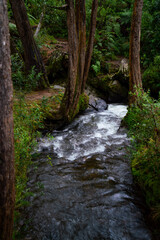 epic river bend in a national park in south america
