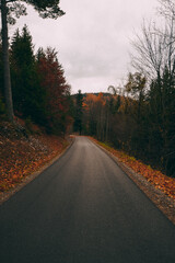 Fototapeta premium Beautiful autumn forest, leaves are falling. Autumn mountains in Austria.