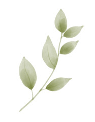 Obraz premium Green Vector Branch on white isolated background. Hand drawn illustration of abstract Plant for wedding invitations or greeting cards. Imitation of Watercolor