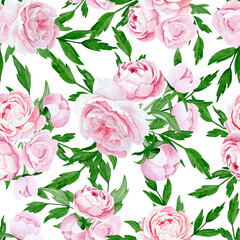 Seamless pattern. Watercolour hand drawn bouquet of peonies, white background.
