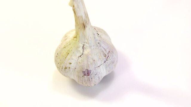 rotating garlic head on wite background.