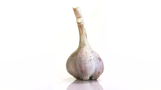 rotating garlic head on wite background.