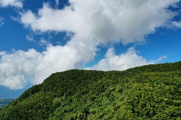 Forêt de Guadeloupe