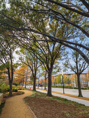 Overcast view of the garden of Myriad Botanical Gardens