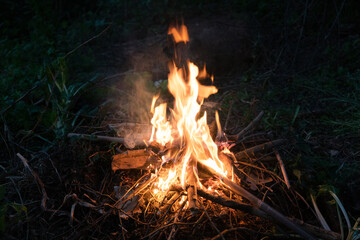 Fire at night in camp from wooden logs.