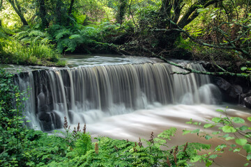 A&ccedil;ude na Ribeira da Foz, Ribatejo