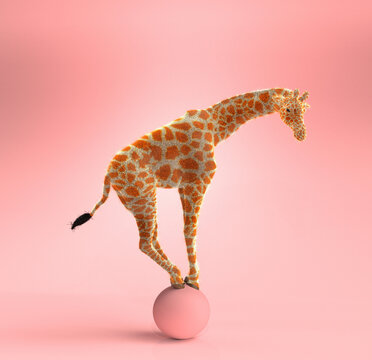 Giraffe swinging on an pink ball. 3D illustration