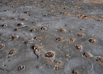 Indian Grinding Rock Holes