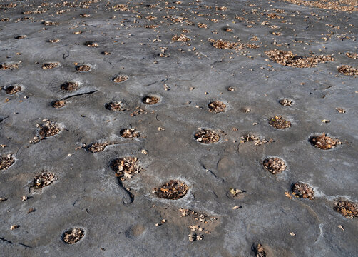 Indian Grinding Rock Holes