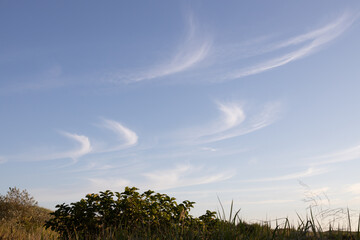 爽やかな青空とカギ雲
