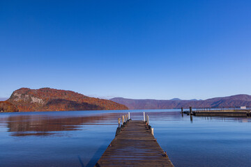 Naklejka premium autumn leaves in water