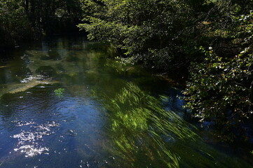 快晴の戦場ヶ原