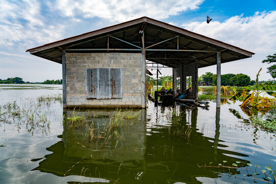 Floods in Thailand