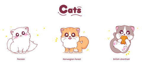 Cute cat characters with different breeds. vector illustration
