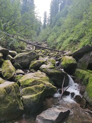 river in the mountains