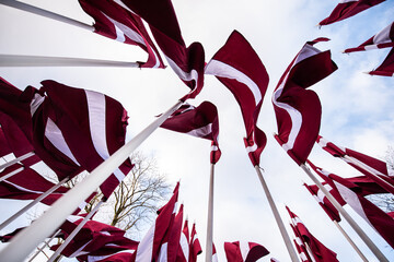 Lots of Latvian red and white flags on the day of proclamation of the Republic of Latvia. View from the bottom