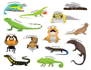 Cute Various Lizards Cartoon Vector Illustration Set Identify