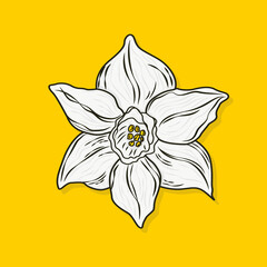 Daffodil flower design vector on yellow background