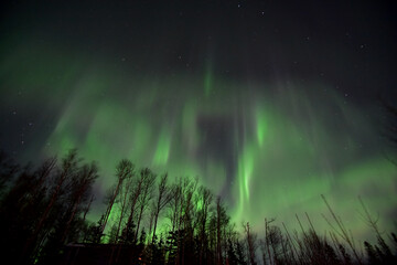 The aurora borealis brings a splash of color to a dark Alaska winter night.