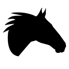 black head horse on white background. Horse sign. Animal symbol. flat style.