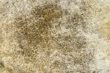 Old cement or concrete outdoor wall with stains and moldy for background and texture.