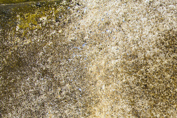 Old cement or concrete outdoor wall with stains and moldy for background and texture.