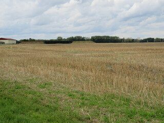 abgeerntetes Feld in Sachen-Anhalt