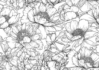 Peonies flowers. Seamless pattern, background. Outline hand drawing vector illustration. In botanical style