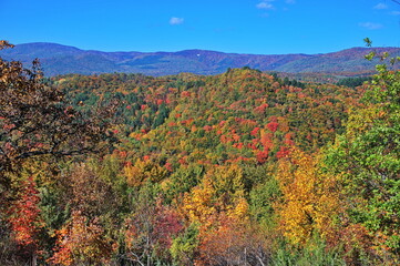 Beautiful autumn colors on the hill