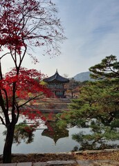 Fototapeta premium The beauty of an old palace in Korea