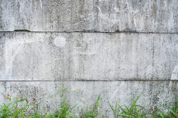 old wall with grass